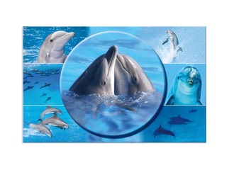 PROMO Lauaalus, loomade motiiviga, 55x35cm