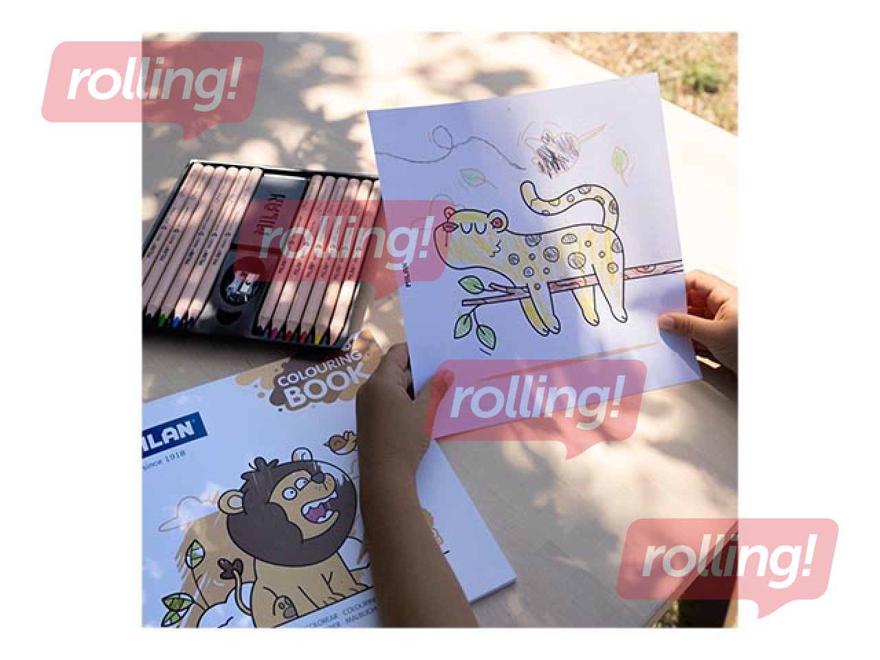 Colouring book Milan Wild safari