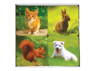 Игра Найди пару