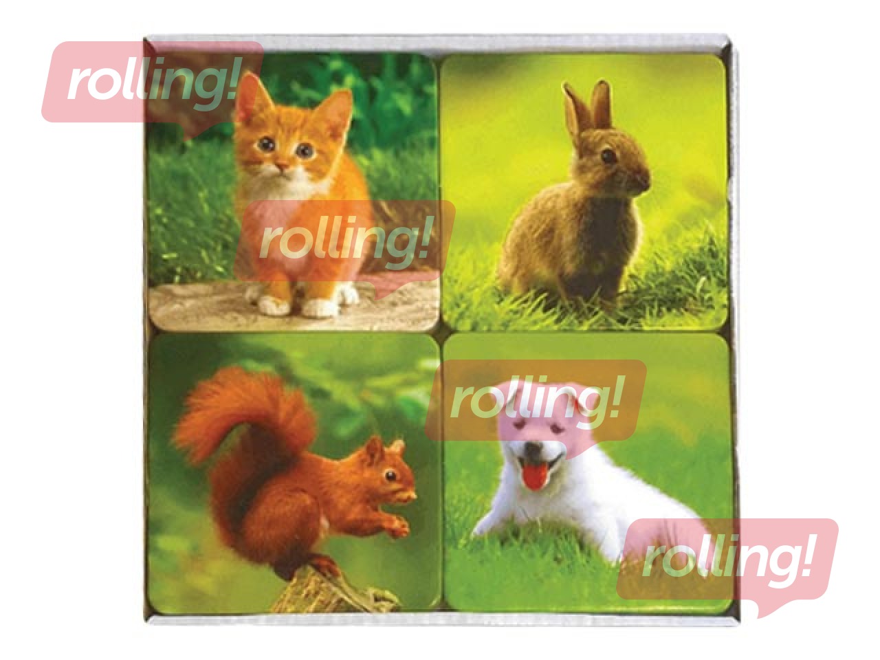 Игра Найди пару