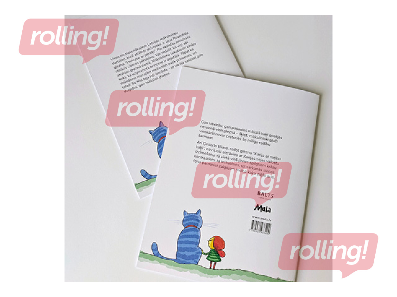 Töövihik Mula, „Printsess ahviga“