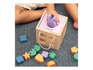 Milani puidust arendav mänguasi Jänese kuubik