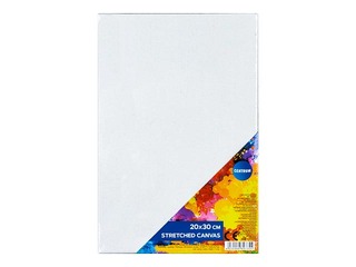 Audekls uz rāmja Centrum 20x30cm