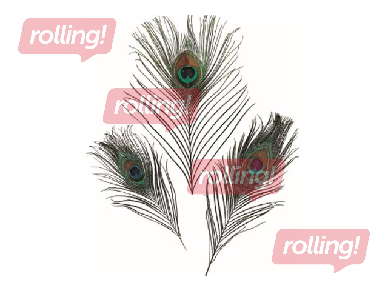 Dekoratiivsed suled, paabulind, 3 tk.