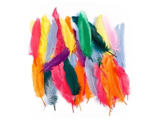 Decorative feathers, mix, 350 pcs.