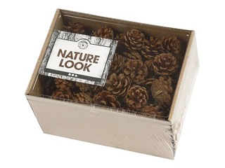 SALE Männikäbid, 500g