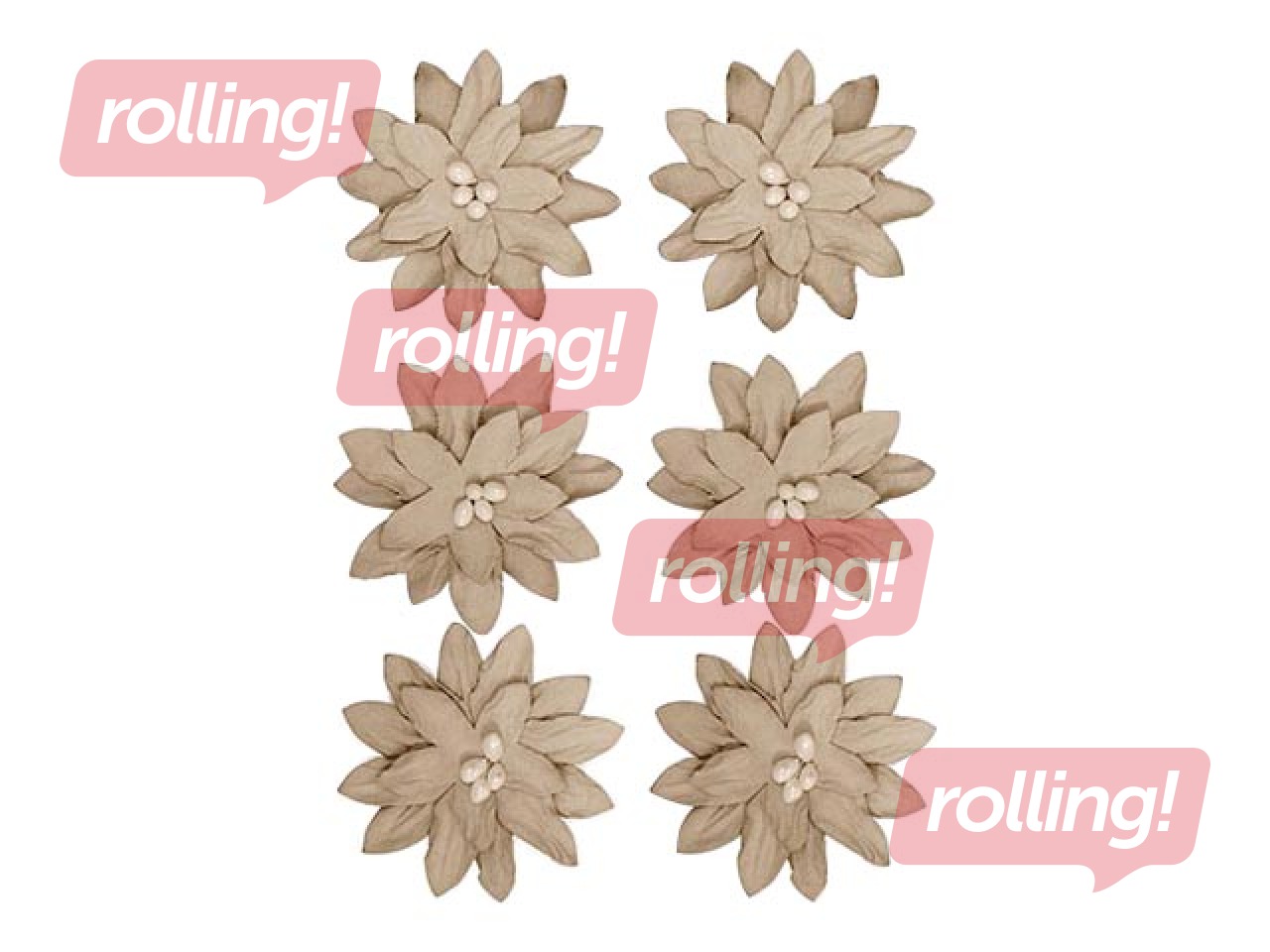 Dekoratiivsed lilled daaliad, beež, 6 tk.