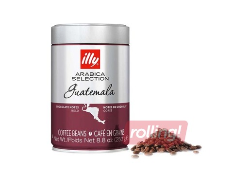Kohvioad Illy Arabica Selection, Guatemala, 250g