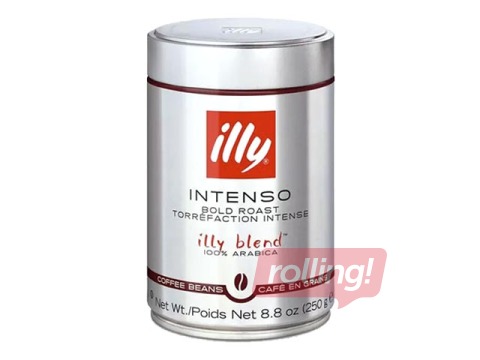 Kohvioad Illy, Intenso, 250g