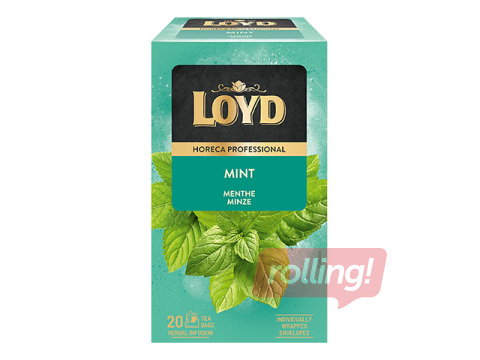 Tēja piparmētru Loyd FS, 20 x 1.7g