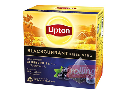 Must tee Lipton mustsõstraga, püramiid, 20 tk