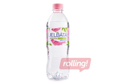 Looduslik mineraalvesi Lielbata, karboniseerimata, PET, 500ml