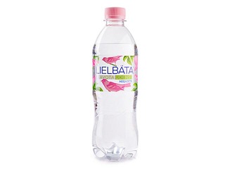 Родниковая вода Lielbata, негазированная, PET, 500мл