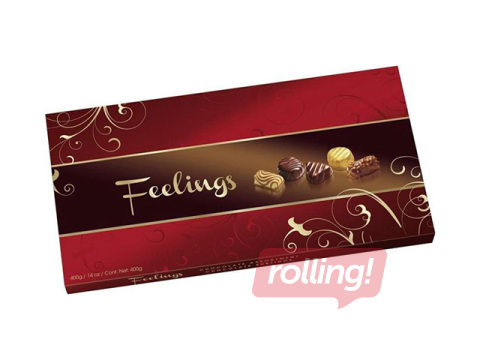 Šokolaadikompvekkide assortii Feelings, 400g