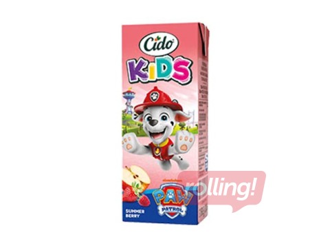 Juice drink Cido, Paw Patrol, summer berries, 200ml