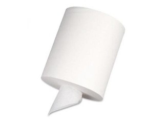 Paper Towels in Rolls Gruine, M1, coreless, 2 layers, 12 rolls, 60m