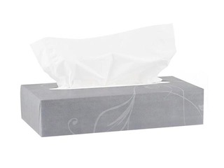 Kosmētiskās salvetes Katrin, 2 kārtas, 100 gab.