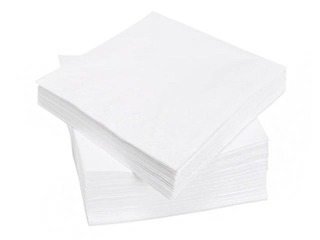 Napkins Lenek, 24x24 cm, 200 pcs., 2 layers, white