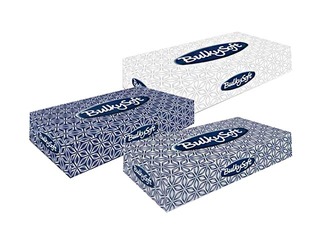 Facial tissues Bulkysoft Classic F1, 2 layers, 100 wipes