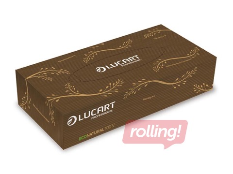 Cosmetic wipes Lucart EcoNatural V, 100 pcs.