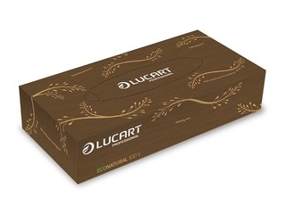 Cosmetic wipes Lucart EcoNatural V, 100 pcs.