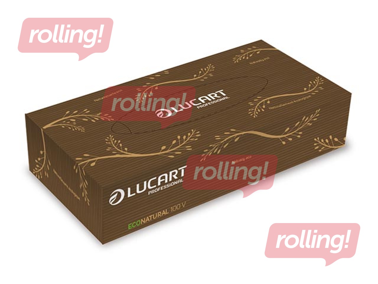 Cosmetic wipes Lucart EcoNatural V, 100 pcs.