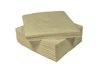 Napkins Lenek, champagne, 2-ply, 24x24cm, 200 pcs.