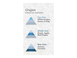 Gaisa atsvaidzinātajs Spring Air, Grapes, 250ml