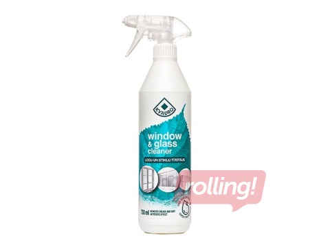 Klaasipuhastusvahend, 730 ml