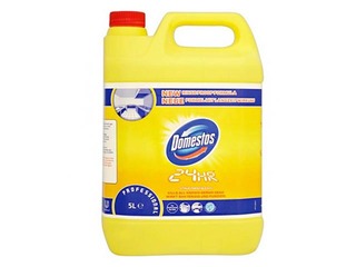 Очиститель санитарных поверхностей и отбеливатель Domestos Professional Citrus Fresh, 5L