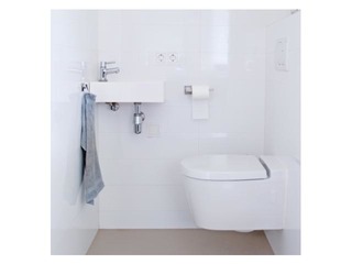 HG hügieeniline tualettruumi puhastaja, 500 ml