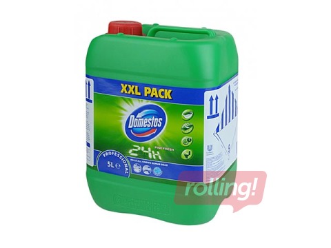 Desinfektsioonipuhastusvahend Domestos Professional Pine Fresh, 5L