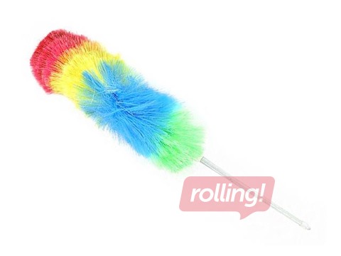 Tolmuhari Toro, 68cm