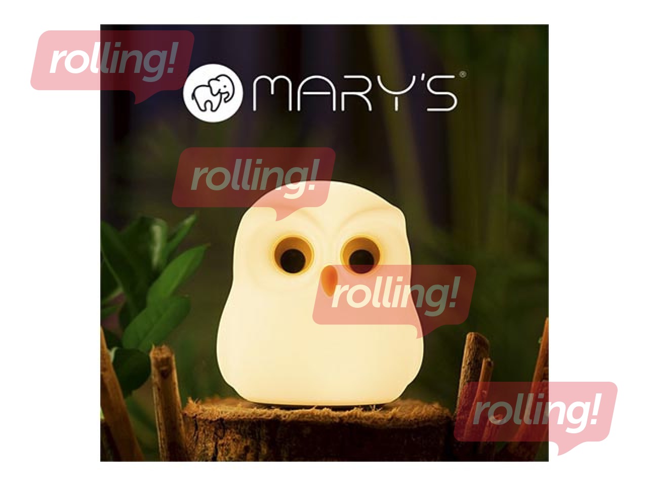 Öövalgusti Mary's, öökull, laetav