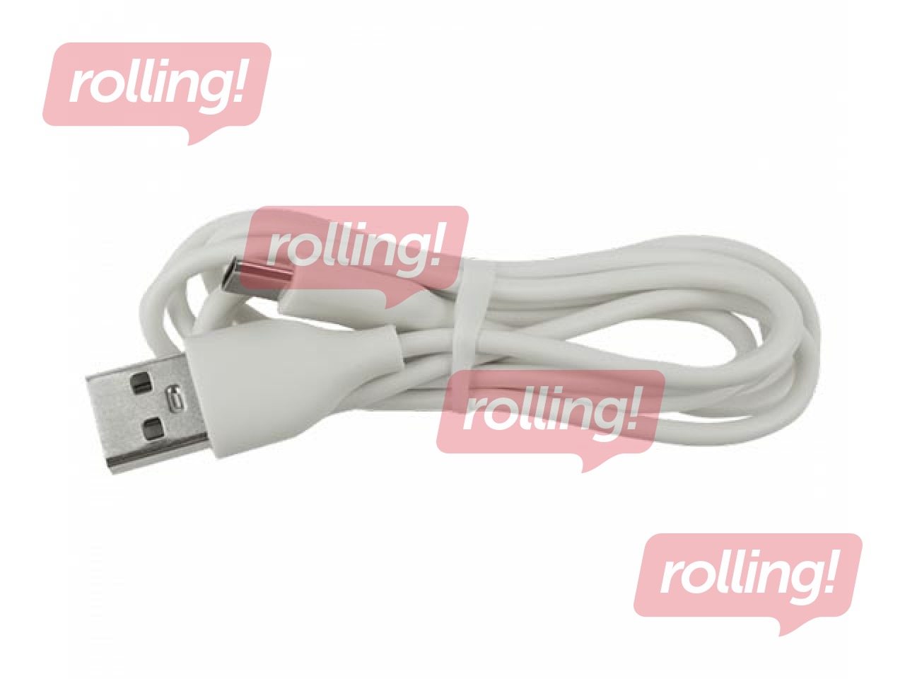 Nakts lampiņa Mary's, suns, lādējama