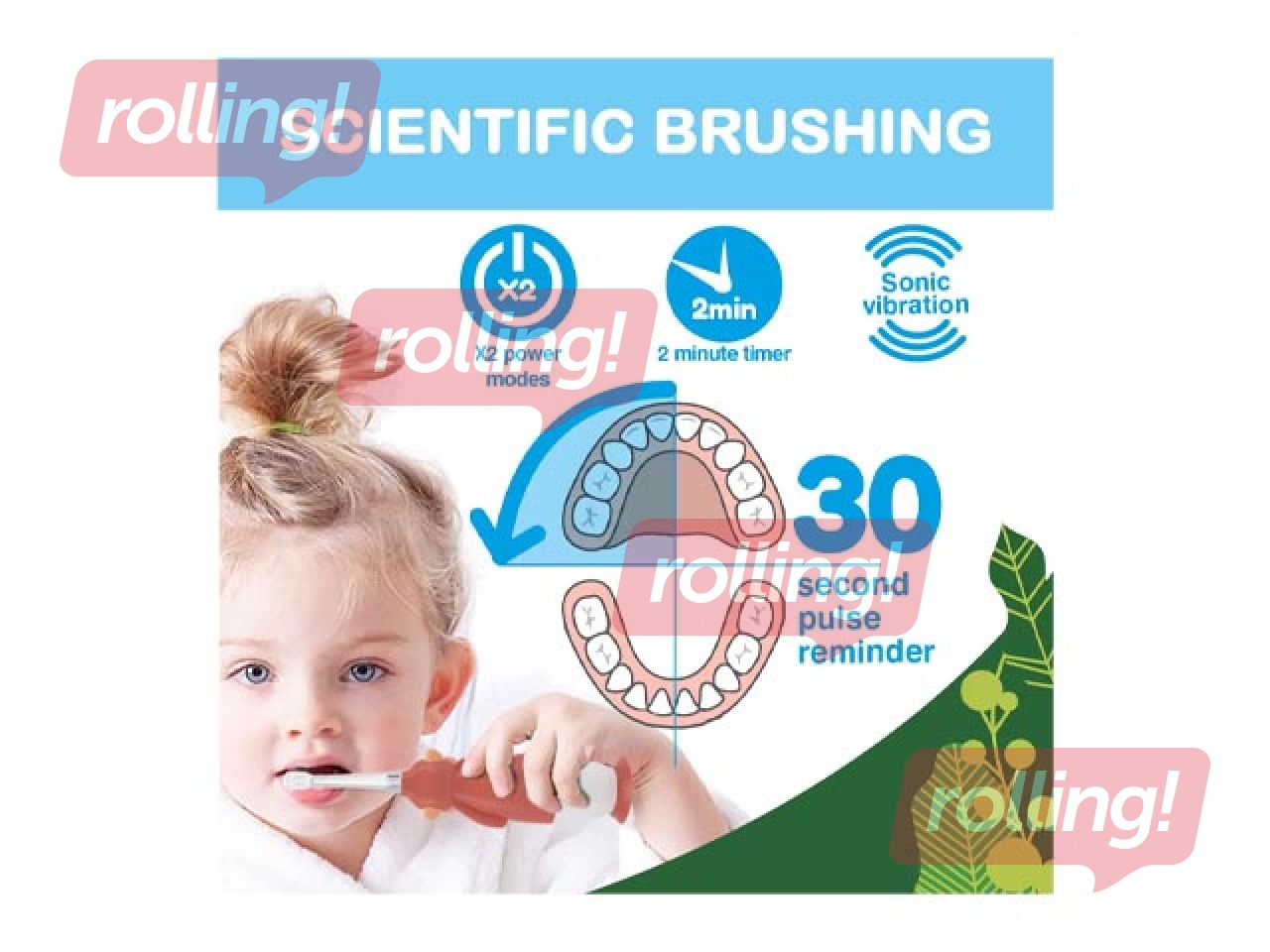 Soniline elektriline hambahari Brush-baby, WildOnes Koala, 0–10 aastat