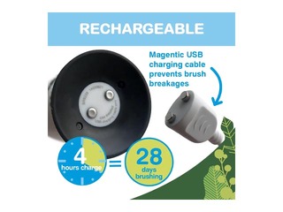 Soniline elektriline hambahari Brush-baby, WildOnes Koala, 0–10 aastat