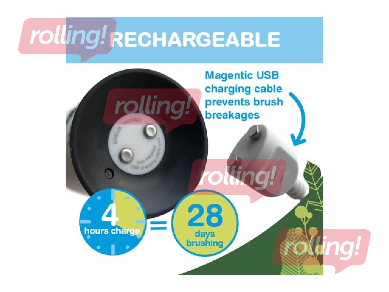 Soniline elektriline hambahari Brush-baby, WildOnes Koala, 0–10 aastat