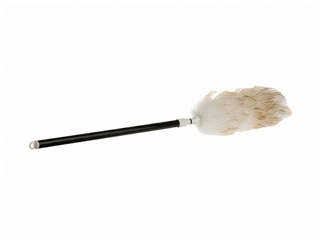 Dust duster with telescopic handle, wool, 75-108cm
