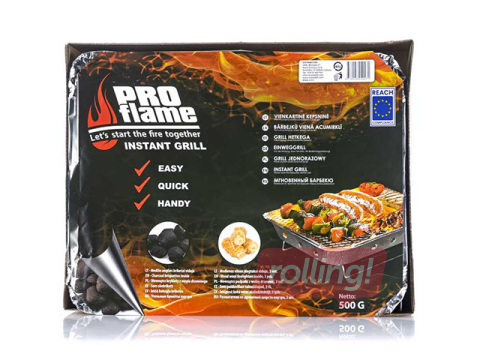 Söegrill Pro Flame Expert, ühekordne, 31.5x25.5x6.2cm
