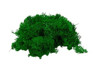 Stabilized moss, 300g, green