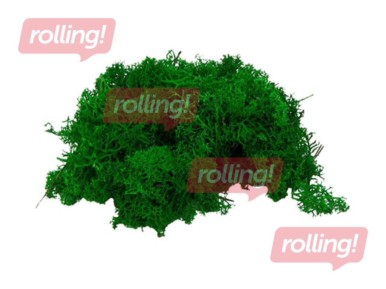 Stabilized moss, 300g, green
