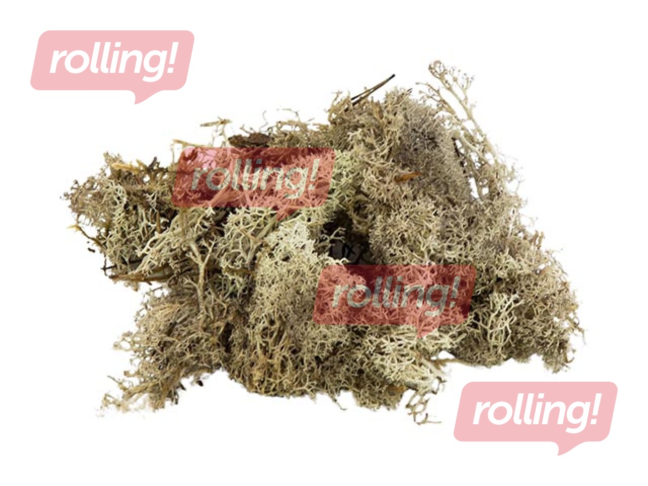 Stabiliseeritud sammal, 300g, hall