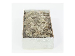 Stabiliseeritud sammal, 300g, hall