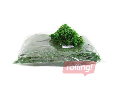 Декоративный мох, зелёный, 100г