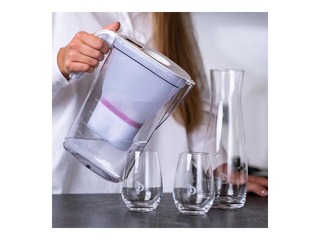 Water filter with magnesium BWT