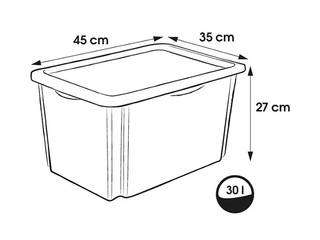 Hoiukast Keeeper Karolina Winnie the Pooh, kaanega, läbipaistev, 45x35x27cm, 30l