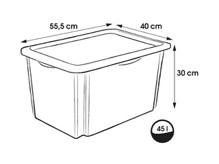Hoiukast Keeeper Karolina Winnie the Pooh, kaanega, läbipaistev, 55.5x40x30cm, 45l