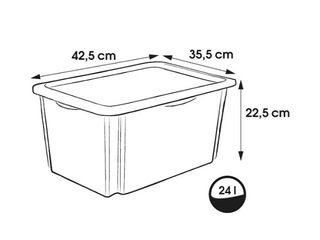 Hoiukast Keeeper Karolina Peppa Pig, kaanega, läbipaistev, 42.5x35.5x22.5cm, 24l