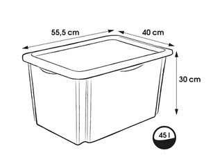Hoiukast Keeeper Karolina Peppa Pig, kaanega, läbipaistev, 55.5x40x30cm, 45l